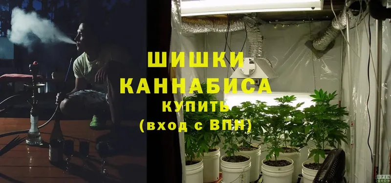 дарнет шоп  Краснокамск  Марихуана THC 21% 